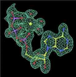 Electron density map