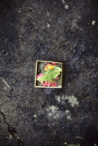 Balinese leaf and flower offering basket on the ground