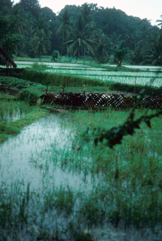 Fields from room 