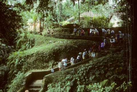 People ascending path as they leave temple ceremony dedicated to Saraswati