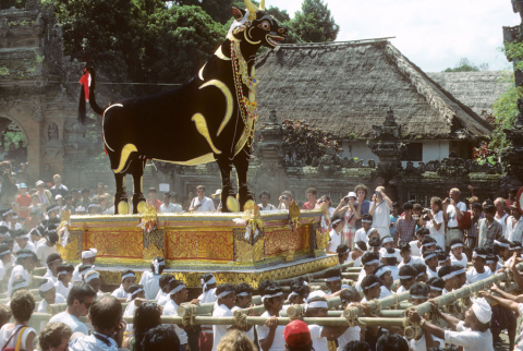 Bull figure carried in procession to cremation grounds by over one hundred men