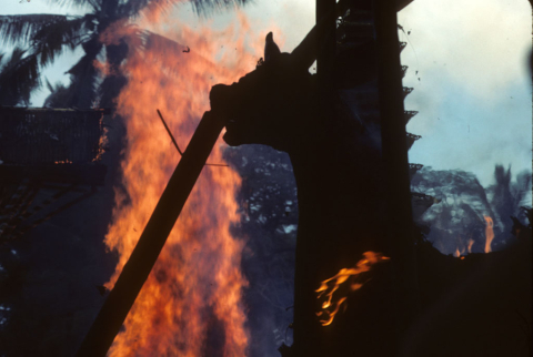 Bull burns, July 23, '86