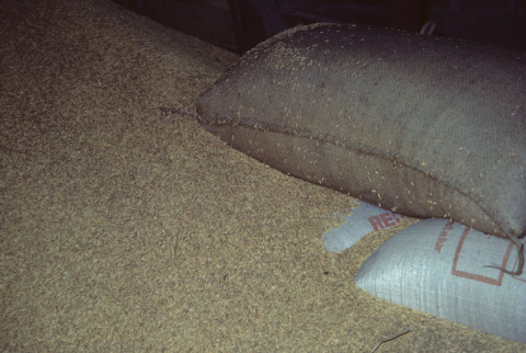 Rice husks and bags