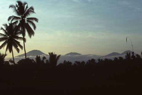 Two coconut trees and three mountain tops rise over clouds on horizon