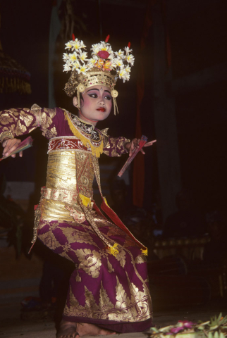 Balinese girl dressed in purple and gold costume waves fans in welcome dance