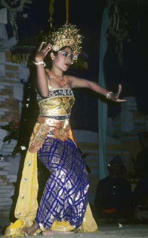 Balinese woman dances Bumble Bee dance in yellow, blue, and silver costume