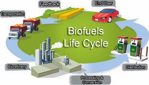 Biofuels life cycle