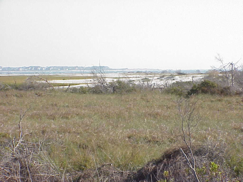 Bogue Inlet