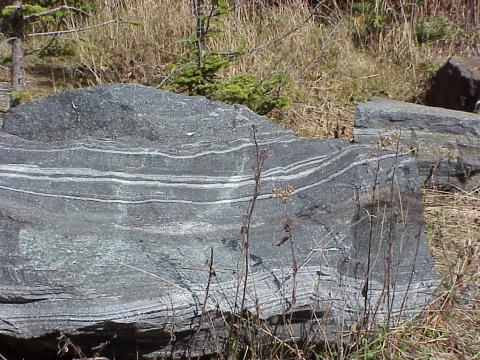 A boulder of Roan Mountain gneiss