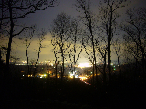 The lights of Asheville seen through trees