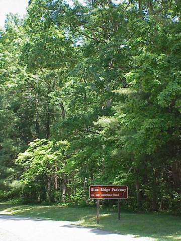 Chestnut Oak-Eastern Deciduous Forest