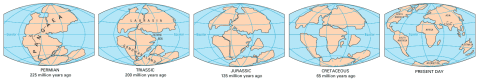 Map of the continents through geologic time