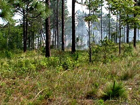 Long distance controlled burn