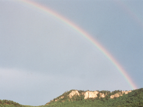 Crowder Mountain