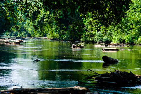 Dan River, Virginia