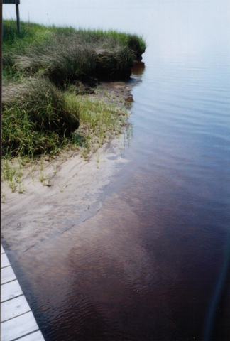 View from a dock