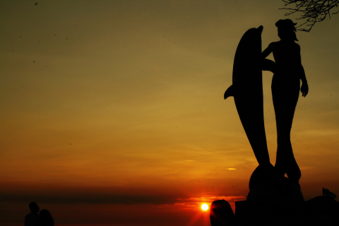 Silhouettes of a dolphin and a woman