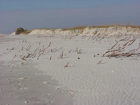 Dune erosion on Bear Island (east end of Bear Island)