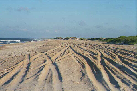 Threatened dune stability