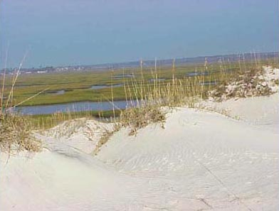 Dunes on Bear Island