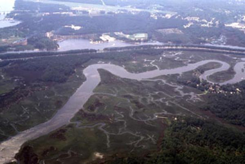 Dutchman's Creek and CP&L canals