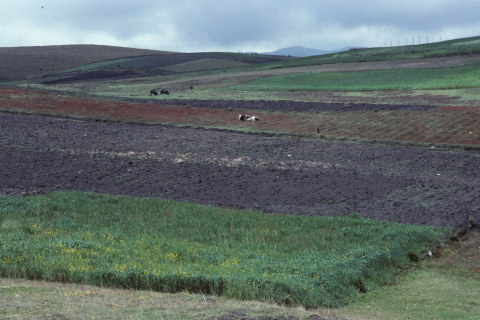 Farmland in Ecuador