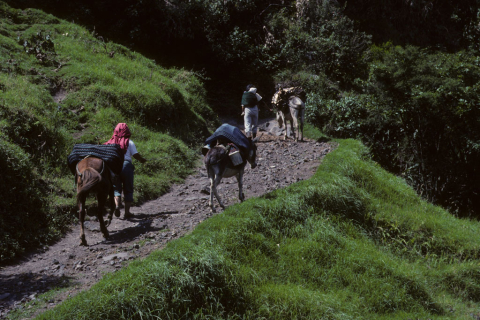 On the trail to Banos, Ecuador