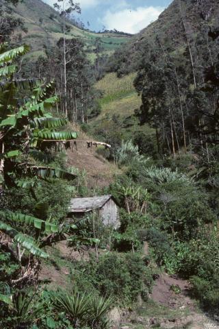 A hut in the hills above Banos