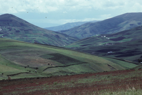 Panorama of rolling hills and agricultural fields