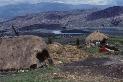 Two thatched-roof huts on a farm in Ecuador