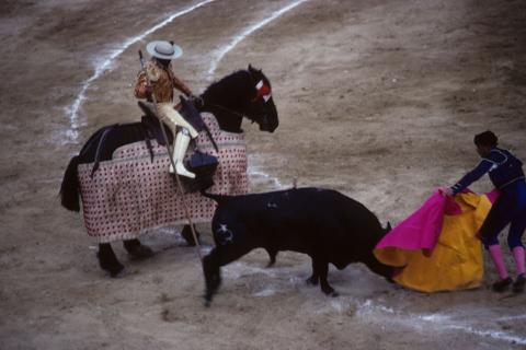 Bullfight in Cartagena, Colombia