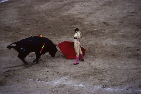 César Rincón in the bullfighting ring