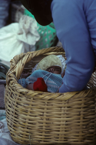 Child in a basket in Saquisilí, Ecuador