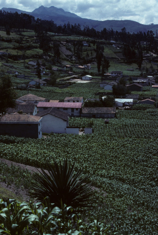 Farmland near Otavalo, Ecuador