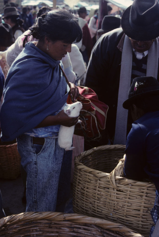 Purchasing a guinea pig in Saquisilí, Ecuador