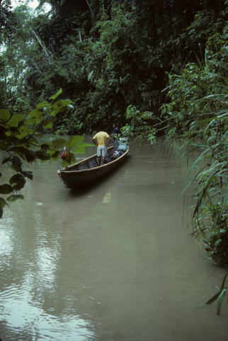 Motorized canoe on the Napo river near Misahualli, Ecuador