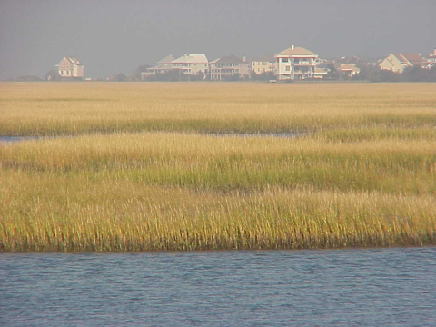 Figure Eight Island