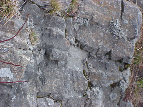 Gneiss from Roan Highlands