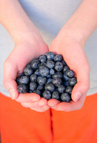 Handsful of blueberries