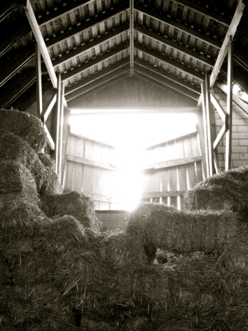 Hay loft