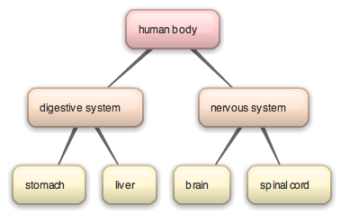 Human body concept map