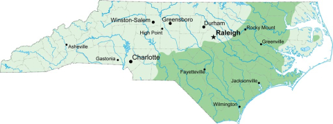 Historic range of the longleaf pine