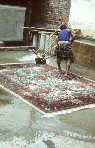 A man washing carpet, Agra, India