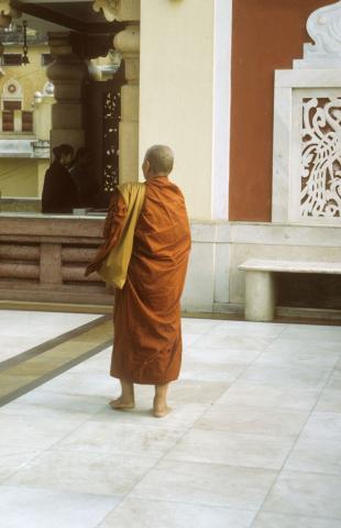 A monk in Delhi, India