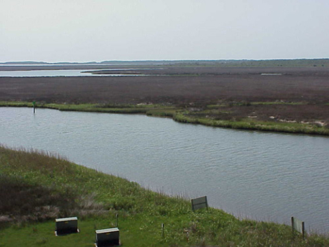 Land and marsh-Carteret County