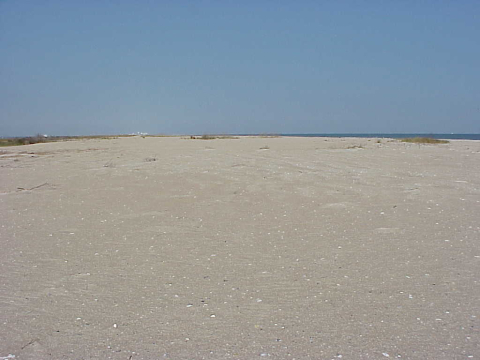 Masonboro Island after hurricane (beach/berm)