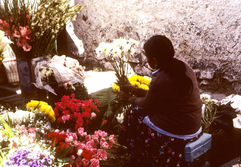 Flower market in Tlaquepaque, Mexico