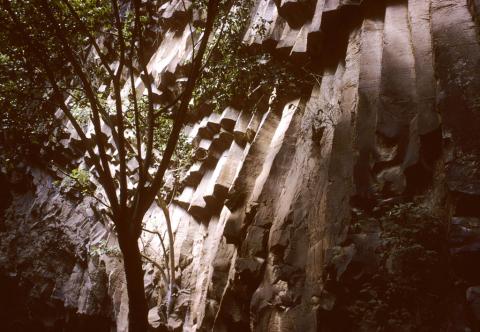 Basalt cliffs near Cuernavaca, Mexico