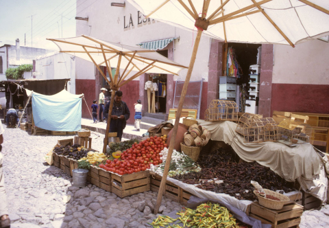 Street vendor in San Miguel de Allende, Mexico