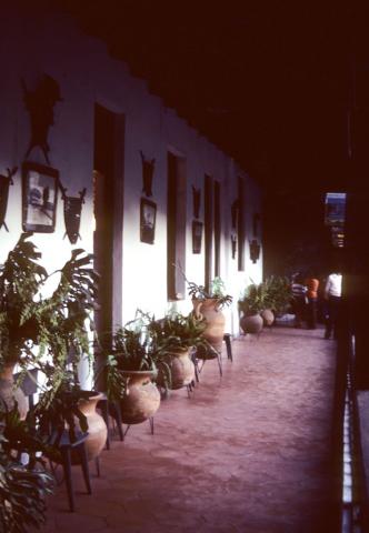 Bank of hotel room doors in Mexico